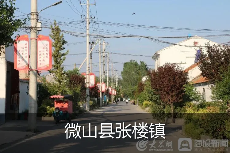 微山县张楼镇