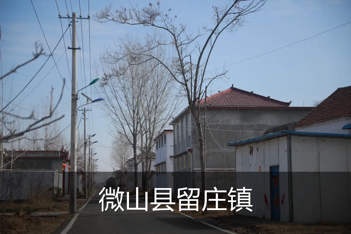微山县留庄镇