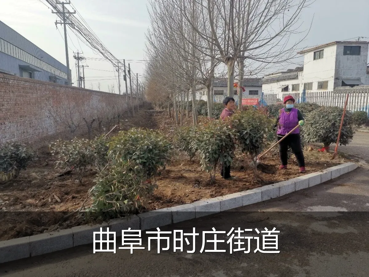 曲阜市时庄街道