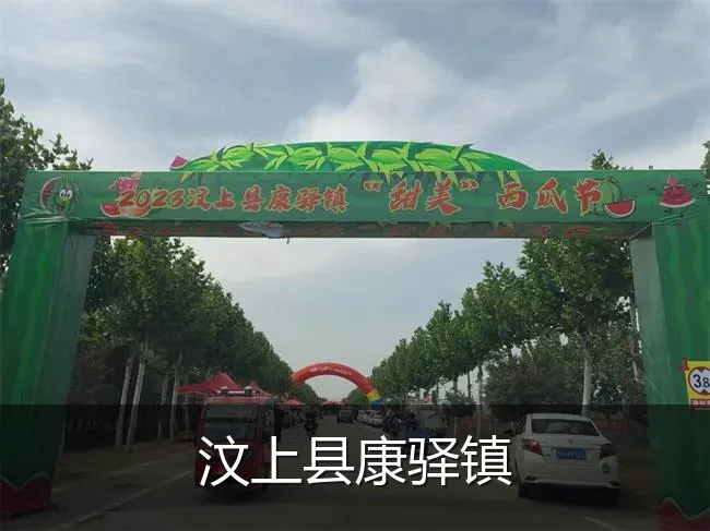 汶上县康驿镇
