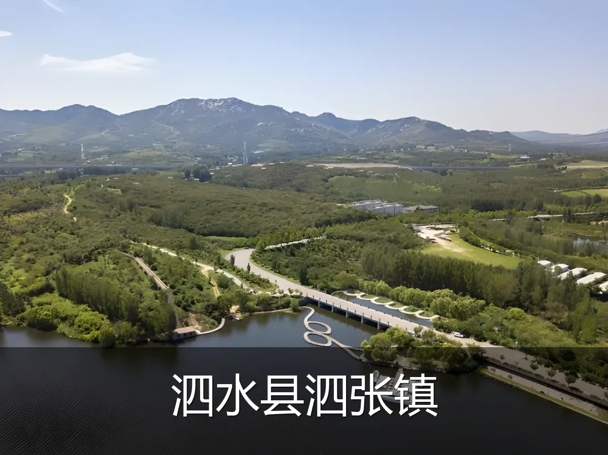 泗水县泗张镇