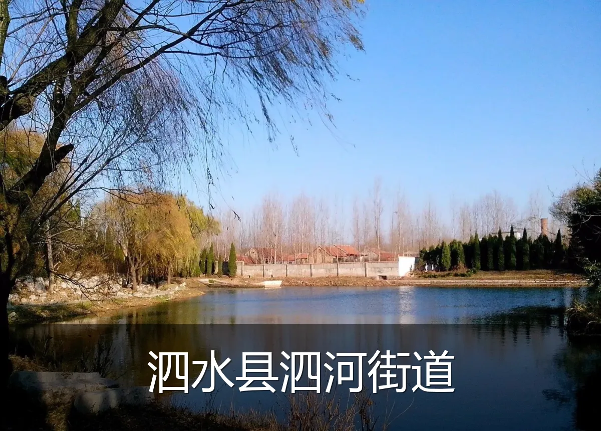 泗水县泗河街道