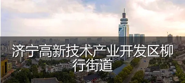 济宁高新技术产业开发区柳行街道
