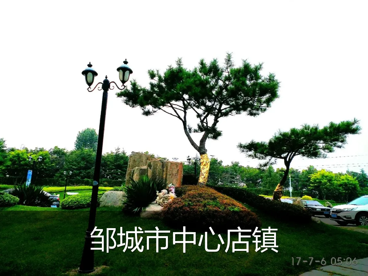 邹城市中心店镇