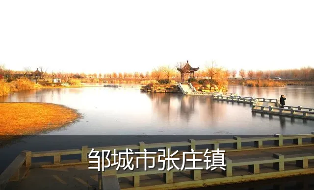 邹城市张庄镇