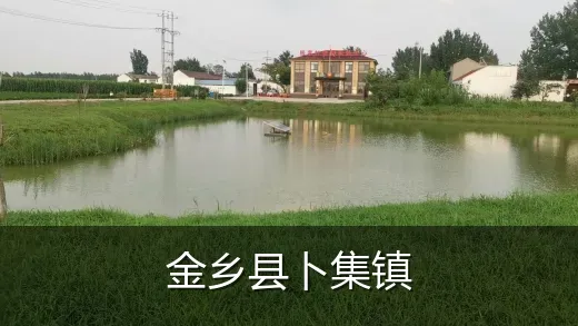 金乡县卜集镇