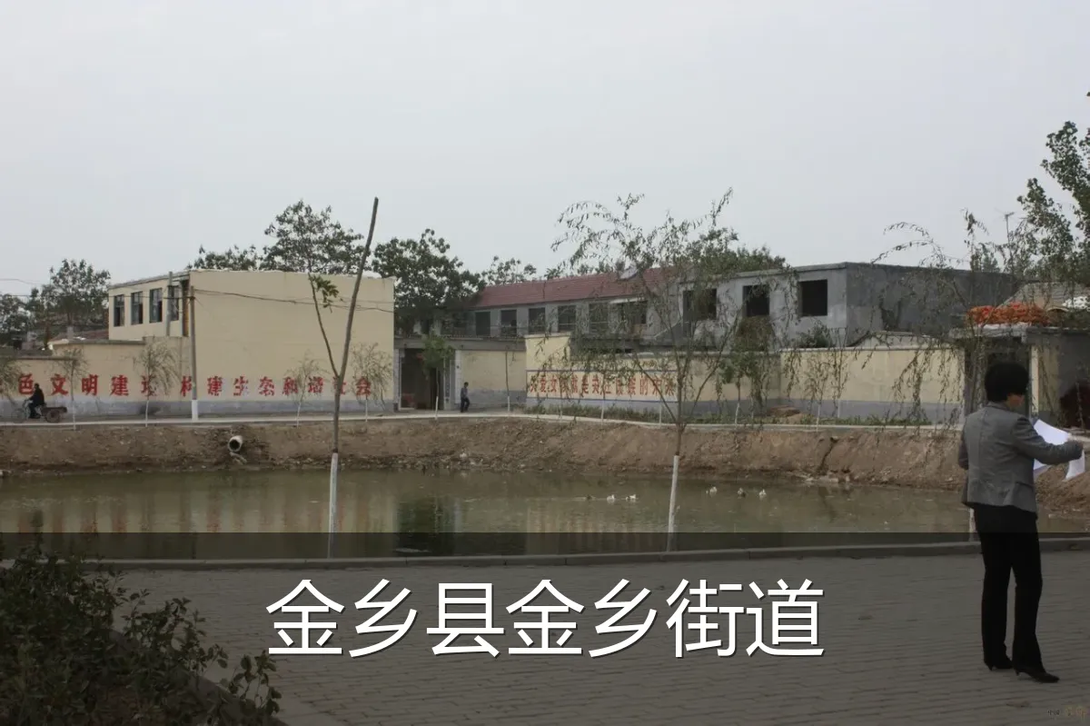 金乡县金乡街道