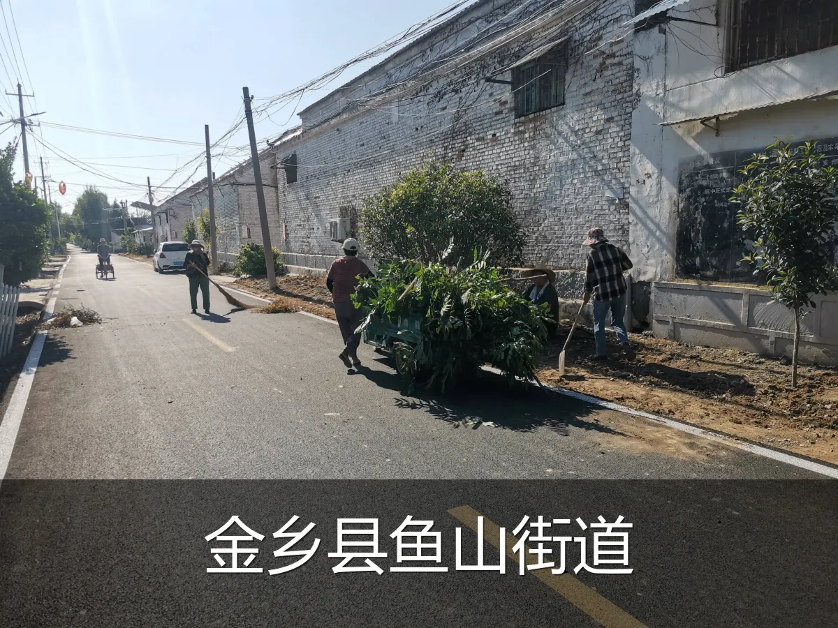 金乡县鱼山街道