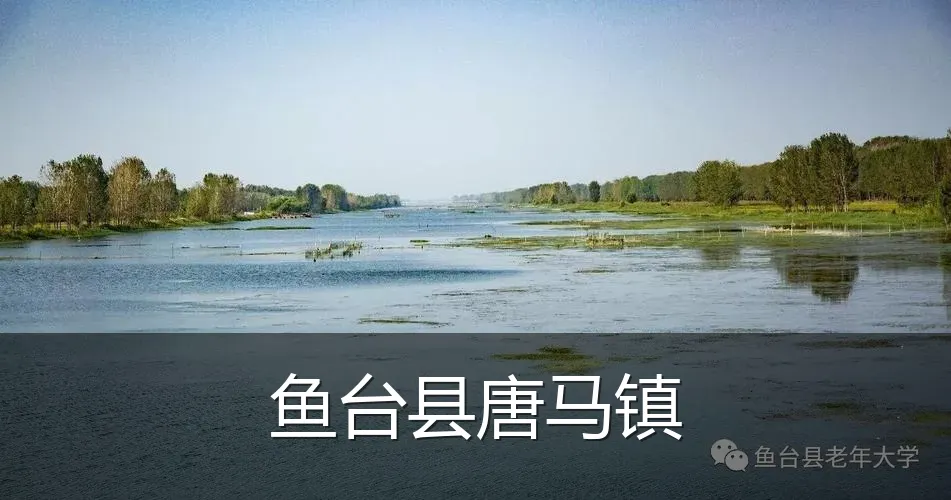 鱼台县唐马镇